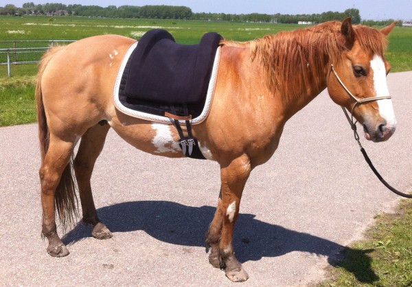 Afbeelding invoegen
