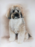 Pastelkrijt op aquarelpapier 