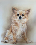 Pastelkrijt op aquarelpapier 