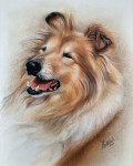 Pastelkrijt op aquarelpapier 