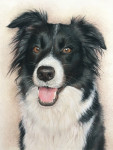 Pastelkrijt op aquarelpapier 