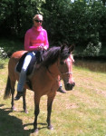 Barebackpad Support Small/ Medium op NRPS pony van 1.50