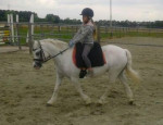 Barebackpad Support Small/ Medium op een pony van 1.19