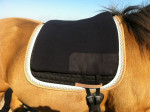 Barebackpad Basic S/M op een NRPS van 1.50