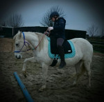 Barebackpad Basic S/M op een pony van 1.45 cm