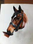 pastelkrijt op aquarelpapier