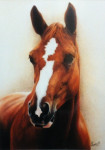 Pastelkrijt op aquarelpapier