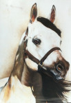 pastelkrijt op aquarelpapier