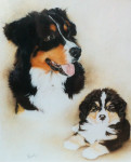 Pastelkrijt op aquarelpapier