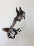 Pastelkrijt op aquarelpapier 