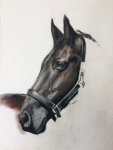 Pastelkrijt op aquarelpapier 