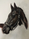 Pastelkrijt op aquarelpapier 