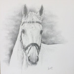 potlood op canvasdoek