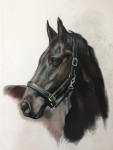 Pastelkrijt op aquarelpapier 