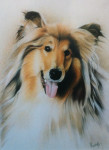Pastelkrijt op aquarelpapier