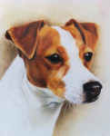 Pastelkrijt op aquarelpapier