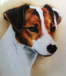 Pastelkrijt op aquarelpapier