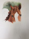 pastelkrijt op aquarelpapier