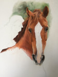 pastelkrijt op aquarelpapier