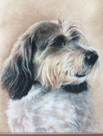 Pastelkrijt op aquarelpapier 
