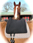 Barebackpad Support Small/ Medium op NRPS- pony van 1.50 cm