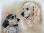Pastelkrijt op aquarelpapier 