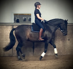 Barebackpad Support L op een PRE
